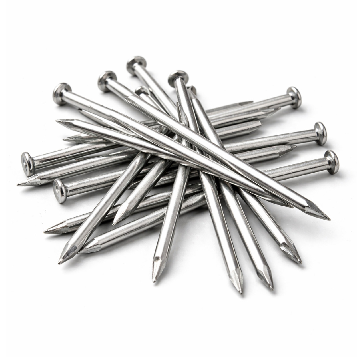 Cedral Lap RVS Nagels 2.9x45mm 200st