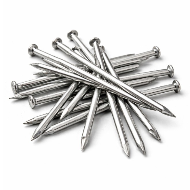Cedral Lap RVS Nagels 2.9x45mm 200st