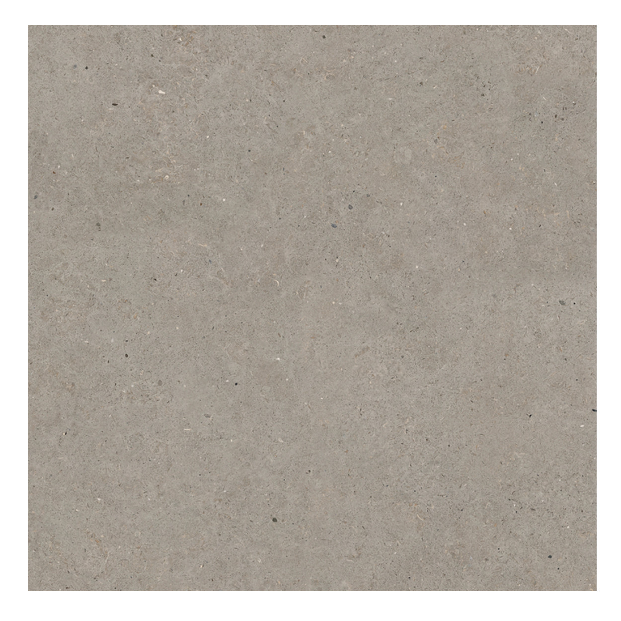 Durstone Somport Grey Vloertegel 120x120cm