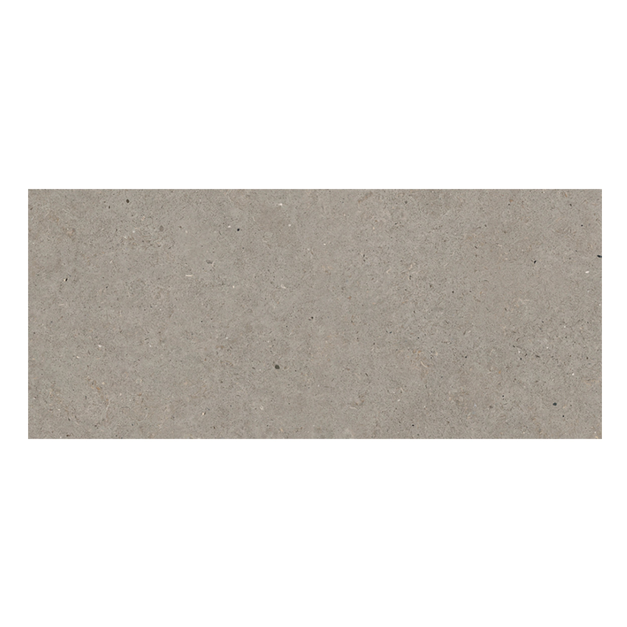 Durstone Somport Grey Vloertegel 60x120cm