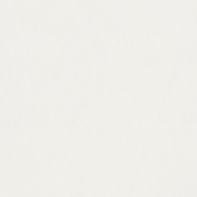 Muro SPC Wandpaneel Wit 980