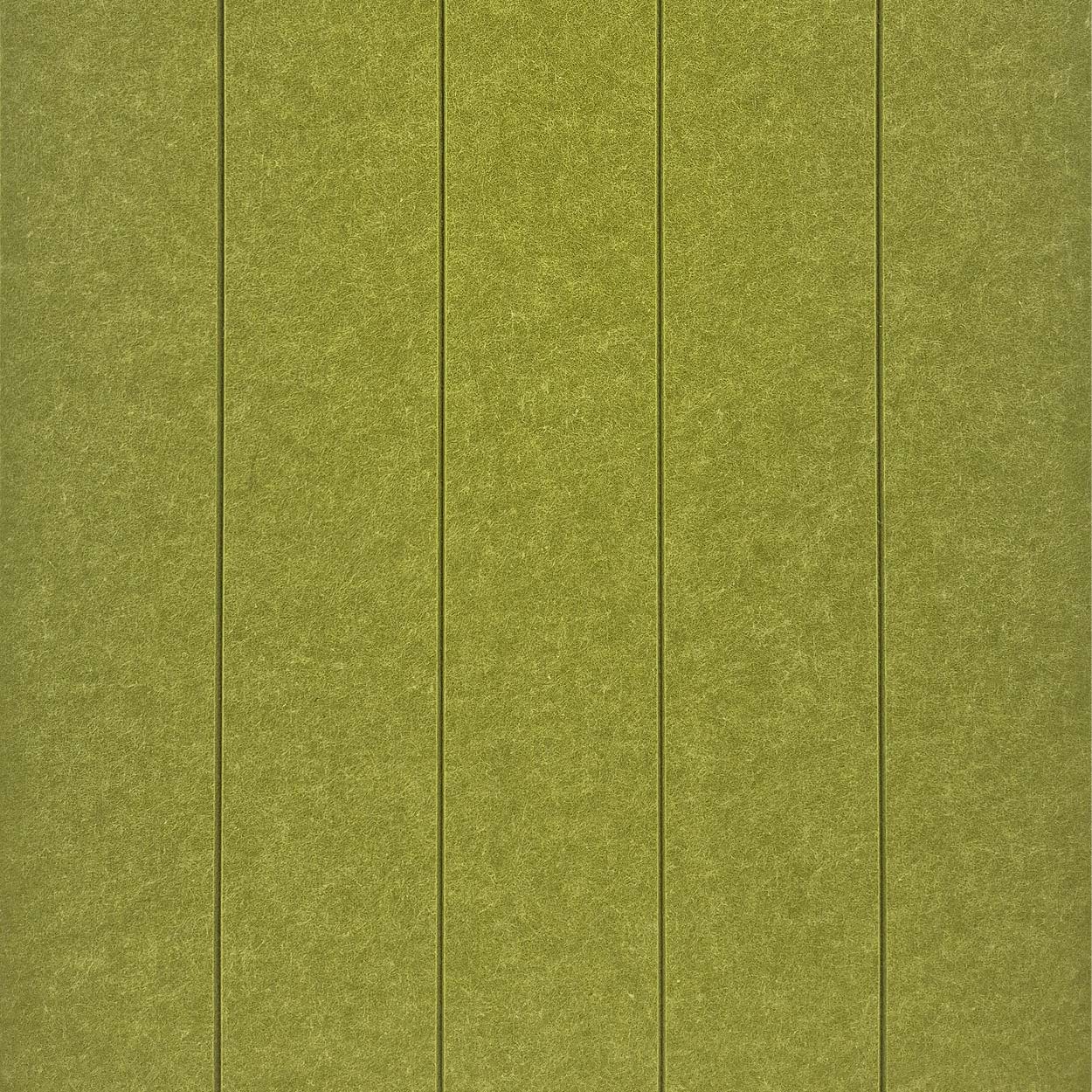 Muro Akoestisch PET Vilt Wandpaneel Olijfgroen 580 – 120x60 cm – 2 st
