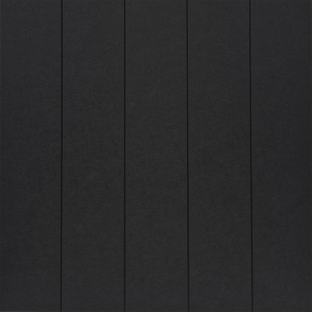 Muro Akoestisch PET Vilt Wandpaneel Zwart 610 – 120x60 cm – 2 st