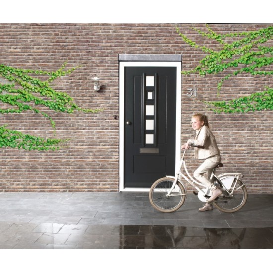 Voordeur Austria City Line Warmond Merbau Blank Glas 