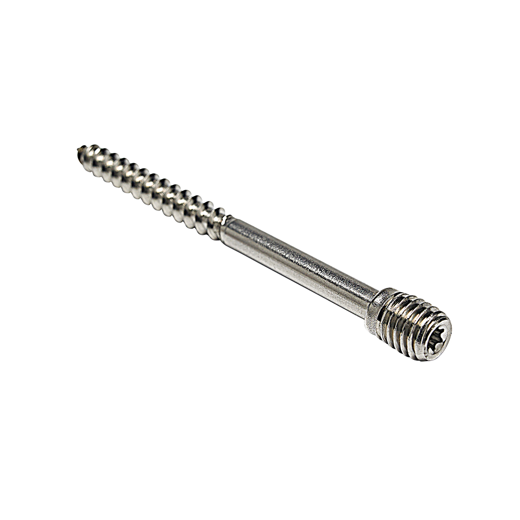 Rheinzink Schroefstift voor Scharnierpijpbeugel RVS M10x100mm