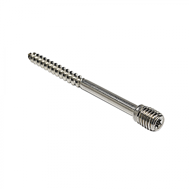Rheinzink Schroefstift voor Scharnierpijpbeugel RVS M10x100mm